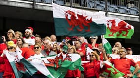 Des supporters gallois en 2022