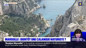 Marseille : bientôt une calanque naturiste