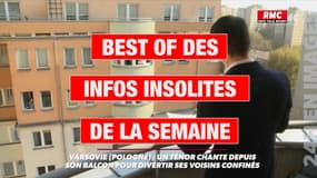 Le best of des infos insolites de la semaine