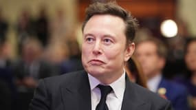 Elon Musk, le 13 novembre 2024