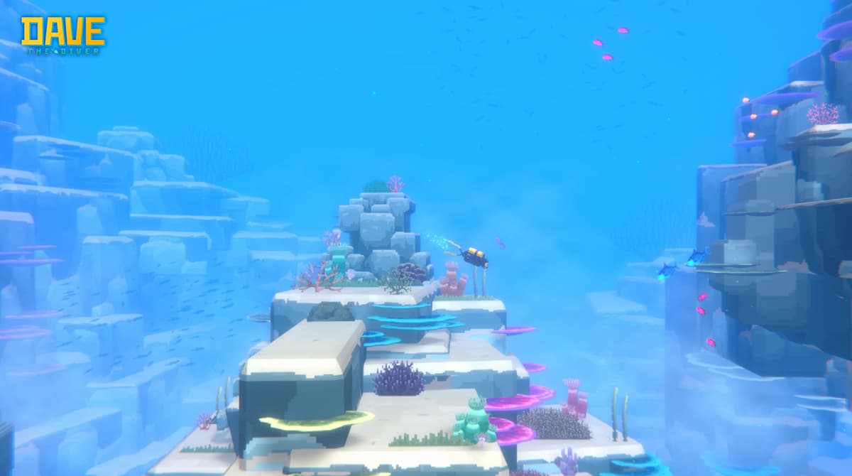 placeholder video