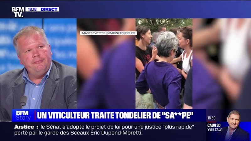 Sandrine Rousseau insultée: 