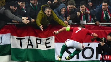 L'équipe de Hongrie en match amical face à la Croatie.