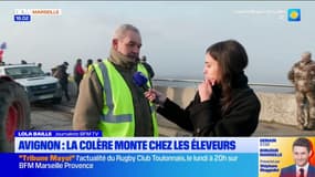La colère monte chez les éleveurs provençaux