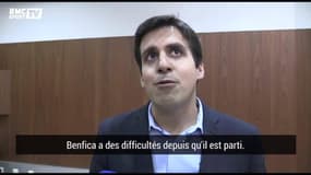 OM : Mitroglou "manque à Benfica" mais "15 millions, c'est cher payé..."