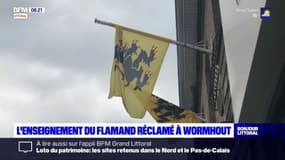 Nord: à Wormhout, des élus et parents réclament l'enseignement du Flammand