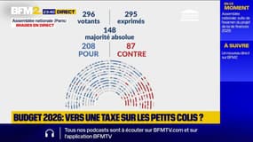 Budget 2026: les députés votent favorablement pour la mise en place d'une taxe sur les petits colis