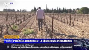 Pyrénées-Orientales, la sécheresse permanente - 26/01