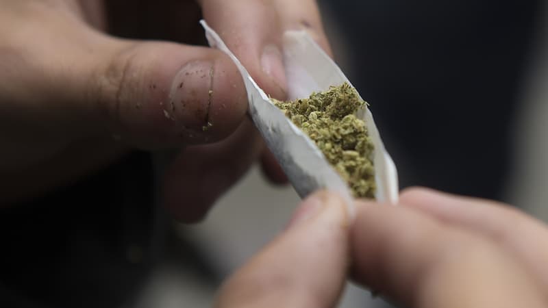 En France, près d'une personne sur deux se dit favorable à une légalisation du cannabis