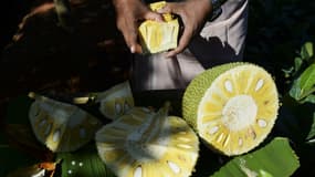 Un homme découpant un fruit du jacquier, à Thrissur dans le sud de l'Inde, le 12 janvier 2020.