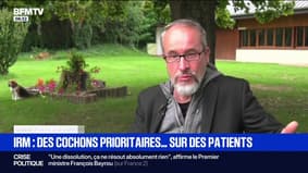 Strasbourg: des cochons prioritaires pour des IRM face à des patients cancéreux, une enquête interne ouverte