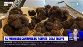 Alpes-Maritimes: dans la commune du Rouret, la truffe au menu dans les cantines scolaires