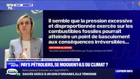 Énergies fossiles: "Il ne faut pas se laisser impressionner par la prise de position" de l'Opep, réagit Agnès Pannier-Runacher