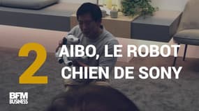 Les trois robots qu'il ne fallait pas rater au CES