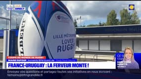 Coupe du monde de rugby: la ferveur monte dans la métropole lilloise avant le match France-Uruguay