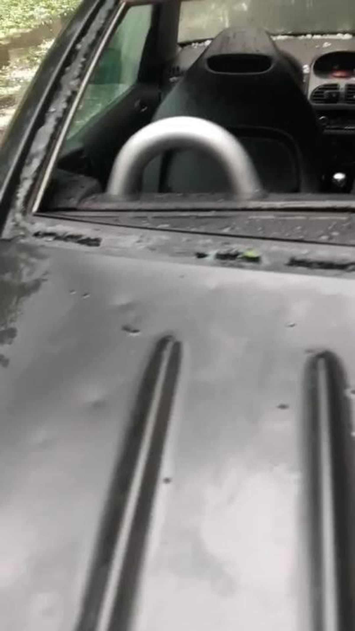 placeholder video
