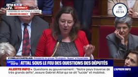 Cyrielle Chatelain (Écologiste) à Gabriel Attal: "Vous n'avez entre vos mains, ni votre destin, ni celui de la France, vous êtes là par le bon vouloir du président"