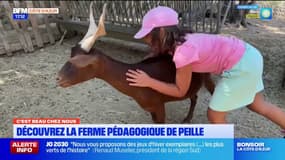 C'est beau chez nous: à la découverte de la ferme pédagogique de Peille