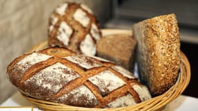 Blé, seigle, épeautre… chaque farine utilisée pour les pains est issue d’une agriculture respectueuse.