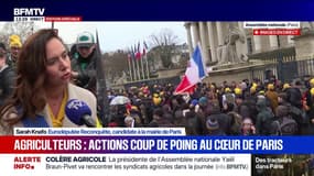 Colère des agriculteurs: "Il est normal que les élus doivent rendre des comptes devant le peuple", estime l'eurodéputée Reconquête Sarah Knafo