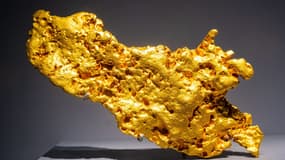 Une pépite d'or de 5kg conservé au Muséum d'histoire naturelle de Paris, le 28 avril 2022