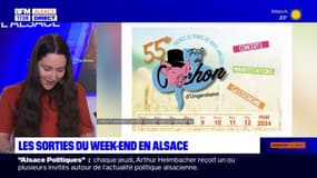 Les sorties du week-end du 11-12 mai en Alsace