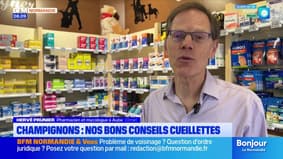 Le journal de 8h du vendredi 17 octobre 2025