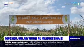 Rhône: un labyrinthe dans un champ de maïs