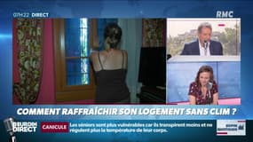 Dupin Quotidien : Comment rafraîchir son logement sans clim ? - 25/06
