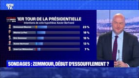 Sondages: Zemmour, début d'essouflement - 07/11