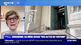 Mort d'Amandine: "Nous n'avons pas le droit de ne rien faire lorsque nous soupçonnons des violences", déclare l'une des parties civiles de l'affaire