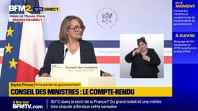 "Aucune décision": Sophie Primas qualifie de "réflexion" le projet de nouvelle fiscalité locale
