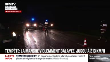 "C'est un danger pour tout le monde": des arbres couchés et des débris sur une route départementale reliant les communes de Périers et Carentan dans la Manche