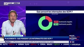 Idée de placements : Que pensent les internautes des SCPI ? - 15/06