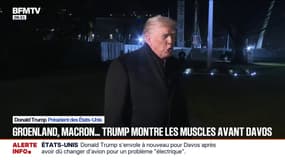 Groenland, tacle envers Emmanuel Macron, droits de douane... Donald Trump montre les muscles avant le forum économique de Davos