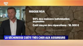 La sécheresse coûte très cher aux assureurs - 07/08