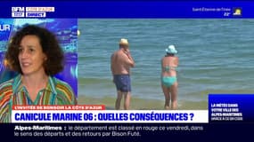 Jusqu'à 30°C en Méditerranée: les anomalies de températures vont-elles s'éterniser? 