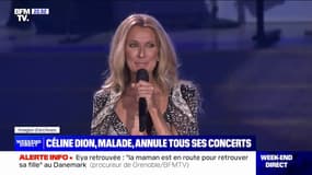 Céline Dion annule tous ses concerts, jusqu'en avril 2024, pour raisons de santé