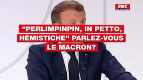 "Perlimpinpin, in petto, hémistiche" parlez-vous le Macron?