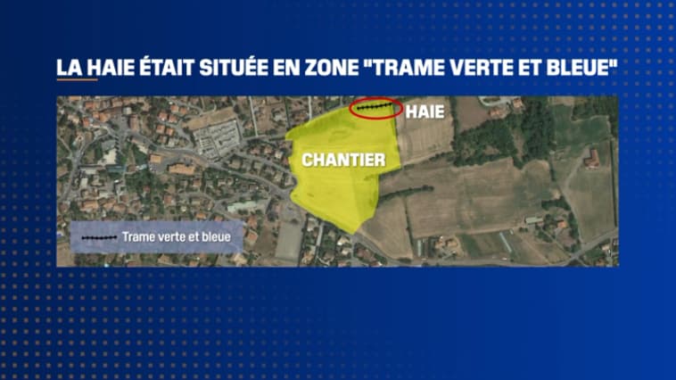 La haie était située en zone "trame verte et bleue" à Romette (Hautes-Alpes)