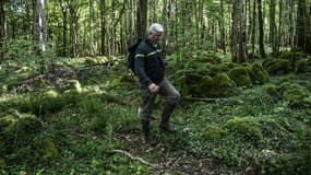 Marcheur dans une forêt de Bourgogne