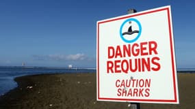Un panneau avertit de la présence de requins, sur l'Île de la Réunion (PHOTO D'ILLUSTRATION)