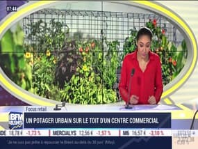 Focus Retail: Un potager urbain sur le toit d'un centre commercial - 21/03