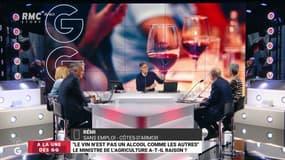 Rémi, auditeur RMC, témoigne: "Si vous buvez 4 ou 5 bouteilles par jour, le vin vous tuera. C'est mon exemple."