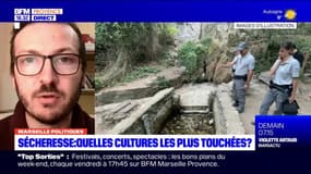 Sécheresse: quelle tendance dans les prochains jours en Provence?