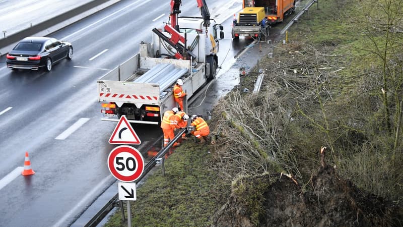 Réparation d'une barrière de sécurité après la chute d'un arbre. 