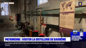 Alpes-de-Haute-Provence: visite ce week-end de la Distillerie à Barrême