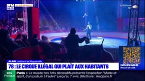 Yvelines: un cirque s'installe illégalement à Limay, les habitants ravis