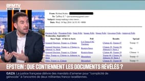 Affaire Epstein: que contiennent les documents révélés?