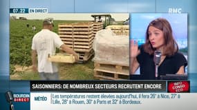 Dupin Quotidien : Saisonniers, de nombreux secteurs recrutent encore - 29/06